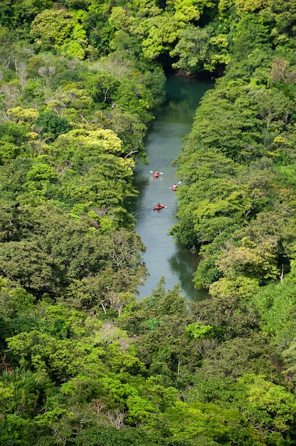 A group of tourists kayaking through the clear waters of the Amazon rainforest, surrounded by lush green vegetation.