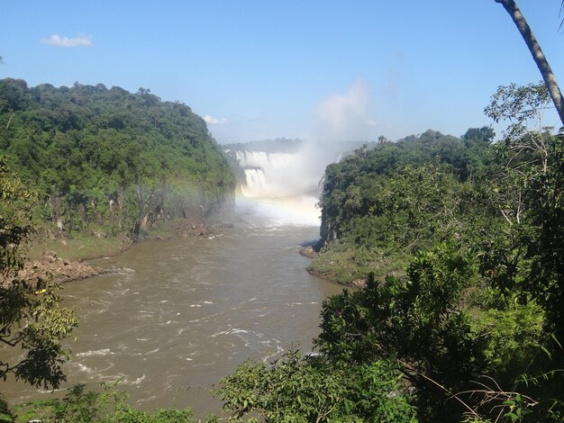 A lush, verdant scene of the Amazon rainforest in Brazil, with a wide river winding through the dense foliage, colorful macaws flying overhead, and a small wooden boat carrying tourists exploring the area.