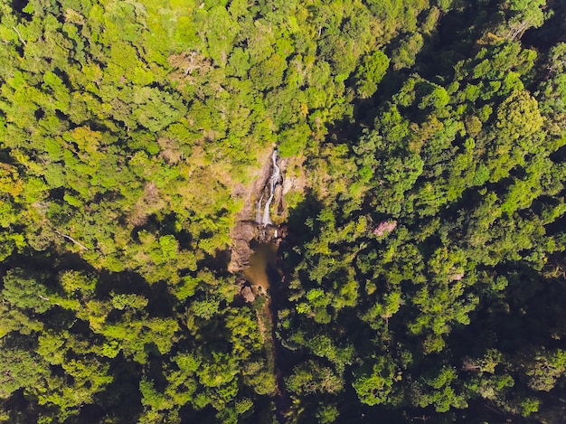 Turismo Sustentável no Brasil: 5 Práticas Essenciais