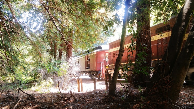 A cozy, eco-friendly lodge nestled in a lush rainforest setting, with solar panels visible on the roof and a garden showcasing local plants. Warm, natural light.