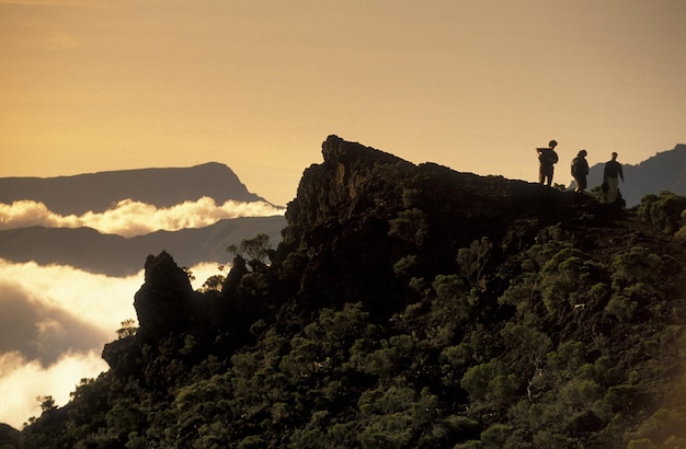 A scenic vista showcases a group of hikers traversing a steep, rocky trail in the Serra do Mar mountain range. The hikers are equipped with backpacks and hiking poles, and they are surrounded by dense Atlantic rainforest. In the distance, the coastline stretches out, with views of the ocean and nearby islands.