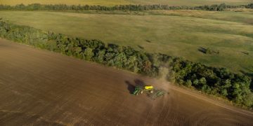 Crescimento do Agronegócio: Recorde de Exportações e Desafios em 2025 - Cover Image