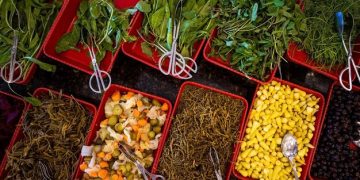 Temperos Brasileiros Caros: 5 Alternativas Saborosas e Acessíveis - Cover Image