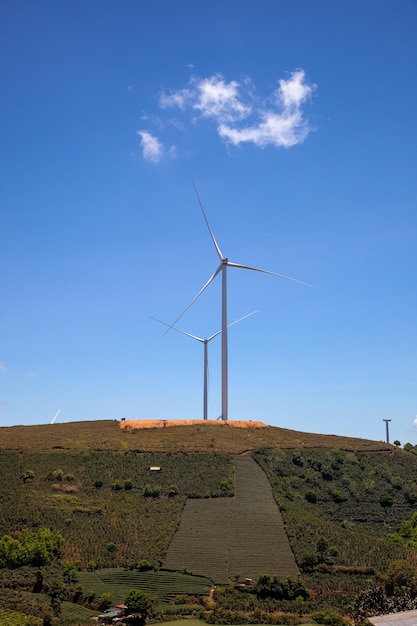 Wind turbines in a Brazilian wind farm with a clear blue sky in the background, representing the growing investment in renewable energy.
