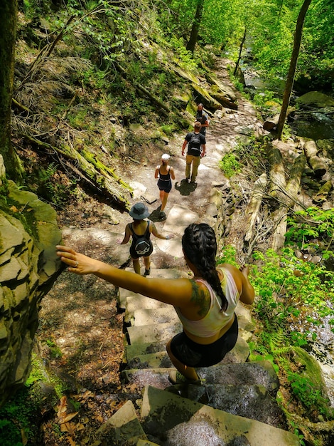 A group of tourists hiking through a lush forest in Chapada dos Veadeiros, with a guide pointing out local flora and fauna. The scene should convey a sense of adventure and exploration, while also highlighting the importance of responsible tourism in protecting the natural environment.